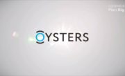 Компания Oysters - видеопрезентация